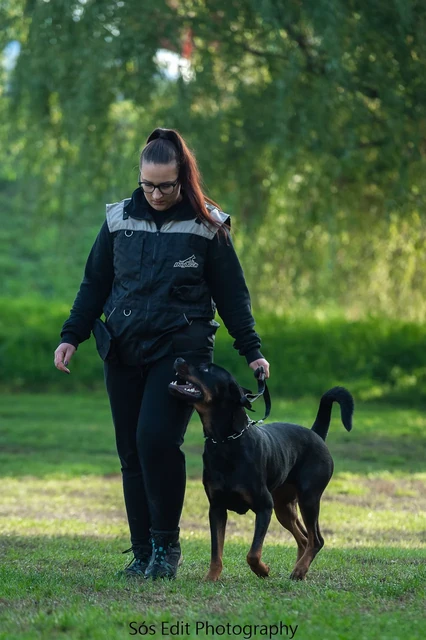 Vivi a rottweilerével a kiképzőpályán